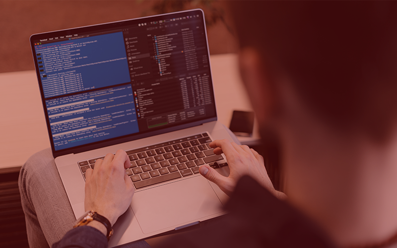 bug bounty
