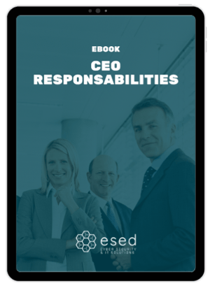 cover-responsabilidades-ceo-eng (1)