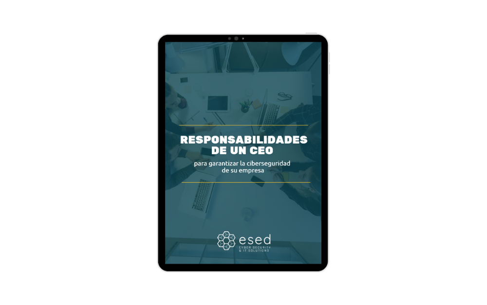 cover-responsabilidades-ceo-eng-1