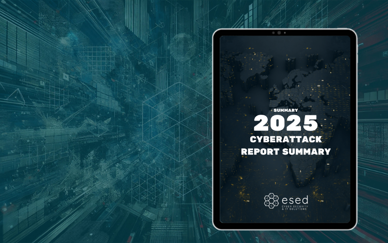 informe-resumen-2025-eng