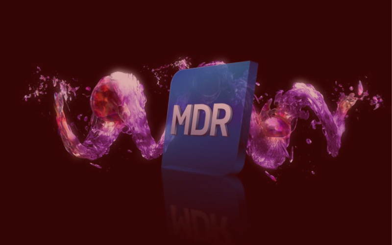 Managed Detection and Response (MDR): ¿Qué es, cómo funciona y por qué es recomendable?
