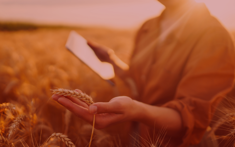 iot-industria-alimentaria