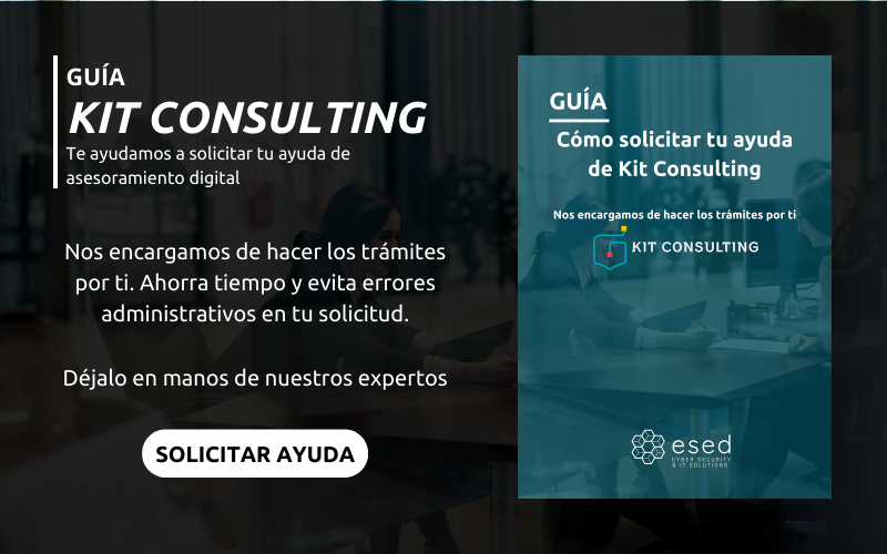 Guía para solicitar tu ayuda de Kit Consulting